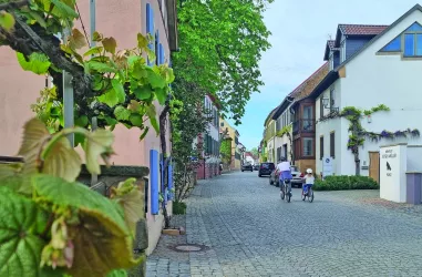 Auf der Reben- & Rüben-Runde unterwegs durch Forst an der Weinstraße