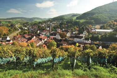 Wolfstein am Pfälzer Höhenweg