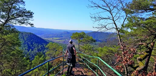 Aussicht vom Löffelsberg - Wandertipp: Busenberger Holzschuhpfad