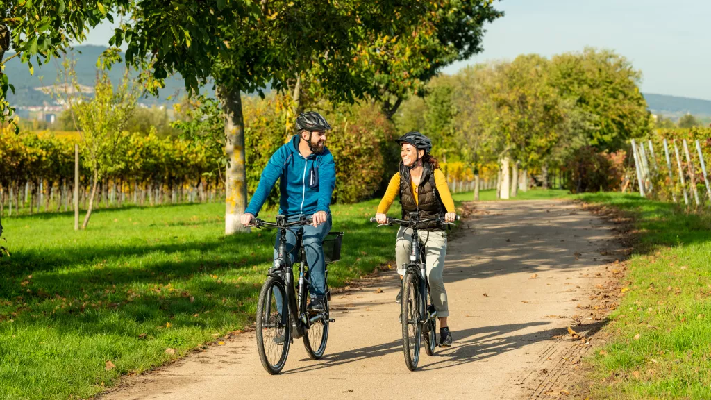 Eine Frau und ein Mann fahren Rad auf dem Biblischen Weinlehrpfad in Kirrweiler, im Hintergrund sind der Pfälzerwald und Weinberge zu sehen