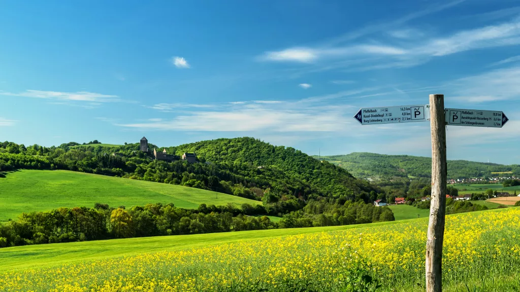 Blühendes Rapsfeld und Hügel mit satt-grünen Wiesen im Pfälzer Bergland bei Kusel