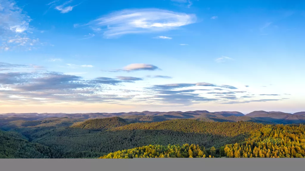 Panoramaansicht mit strahlend blauem Himmer und den Hügeln des Pfälzerwaldes