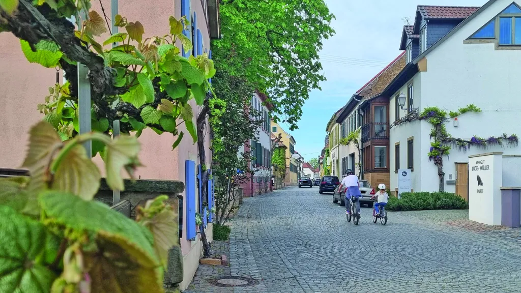 Auf der Reben- & Rüben-Runde unterwegs durch Forst an der Weinstraße
