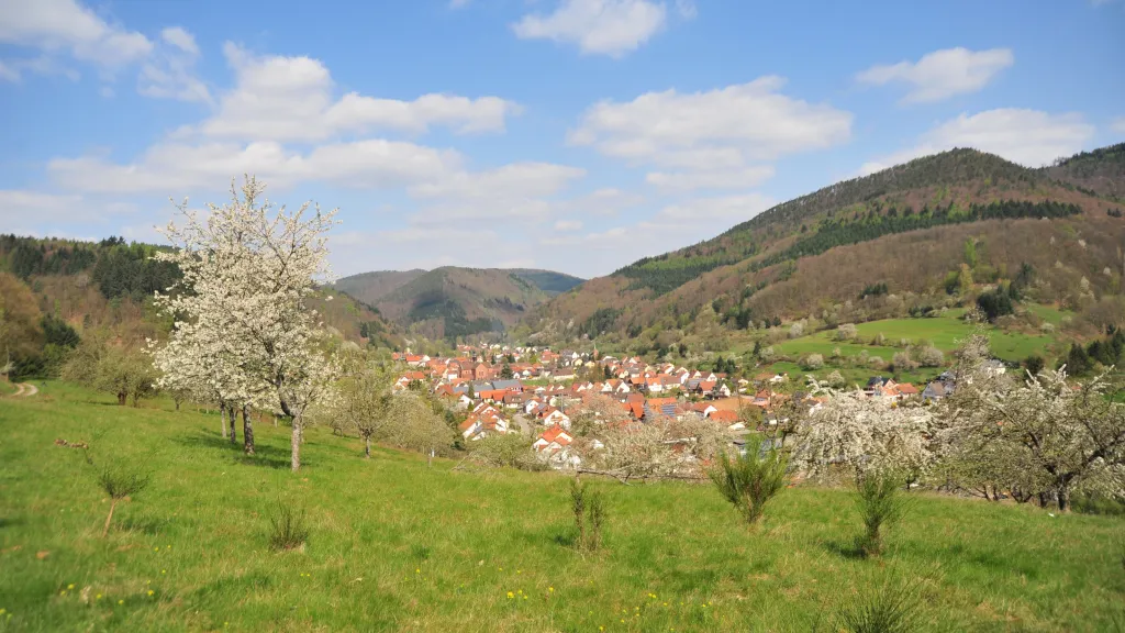 Blick aufs Eußerthal