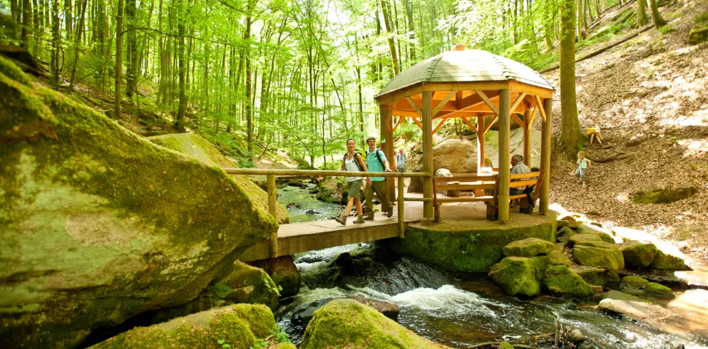 Karlstalschlucht bei Trippstadt