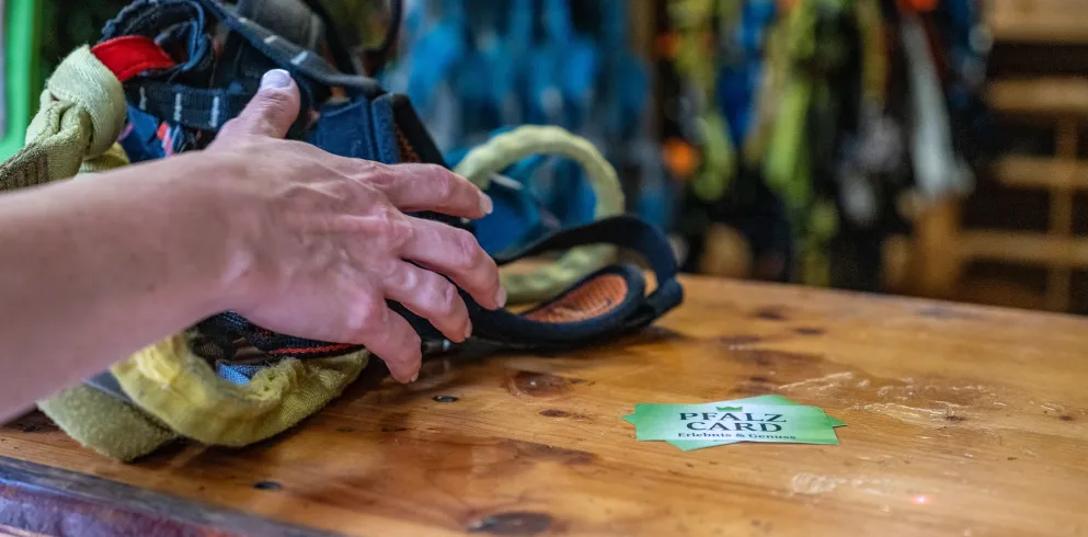 Kletterwald Kandel mit der Pfalzcard erleben