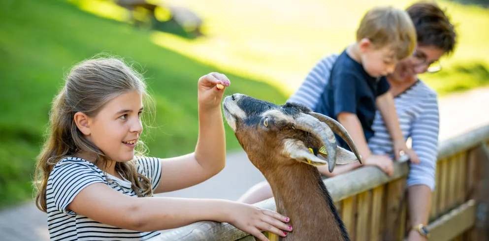 Tierische Erlebnisse im Tier- & Wanderpark Silz