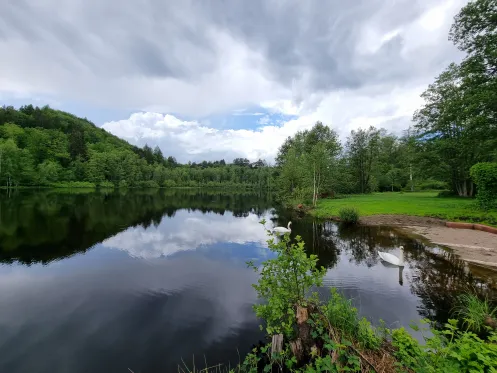 Badesee Schöntalweiher