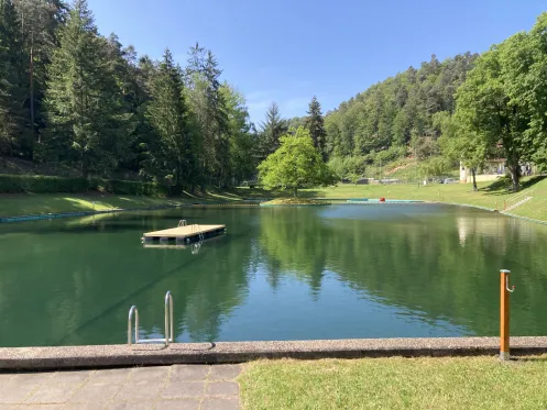 Natur- & Freischwimmbad Weidenthal