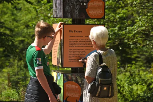 Käfer-Safari in Bruchmühlbach-Miesau