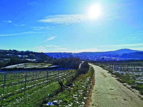 Weg oberhalb vom Berntal