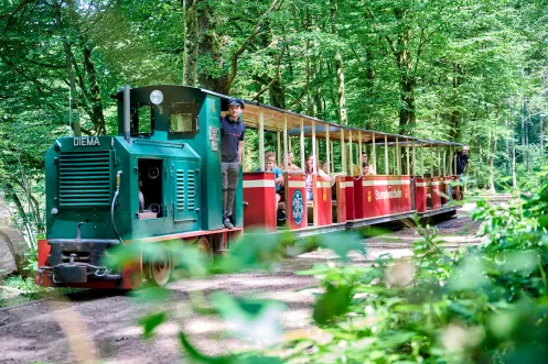 Die Stumpfwaldbahn verbindet nostalgisches Eisenbahnflair mit einem beliebten Ausflugsziel für die ganze Familie.