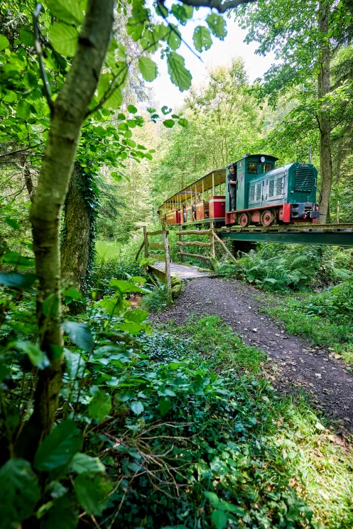 Die Stumpfwaldbahn verbindet nostalgisches Eisenbahnflair mit einem beliebten Ausflugsziel für die ganze Familie.