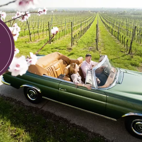 Ein Mann und eine Frau fahren im Cabrio vorbei an Pfälzer Weinbergen und Mandelbäumen