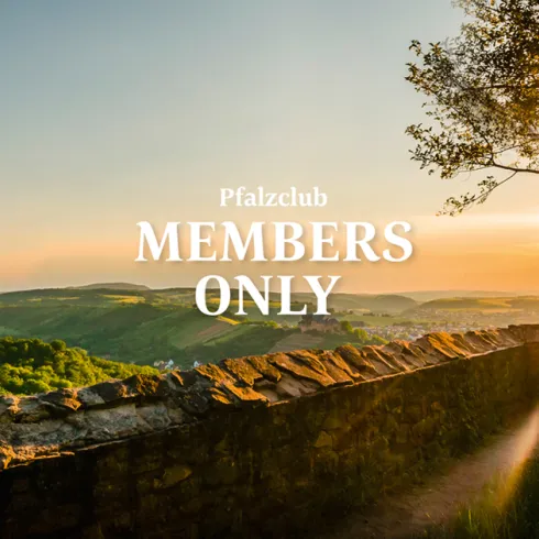 weiter Ausblick über Pfalzlandschaft