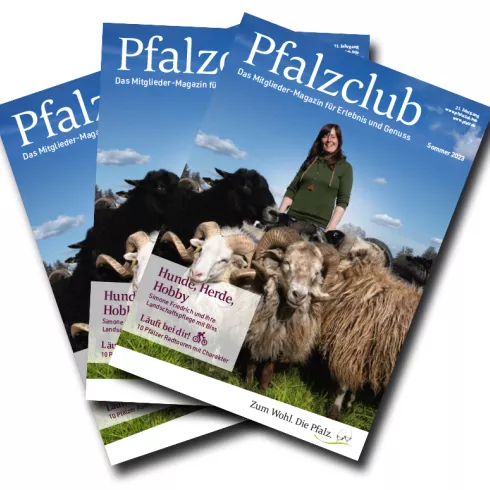 das Pfalzclub-Magazin Titelbild mit Pfälzer Schäferin mit Schafen auf der Weide