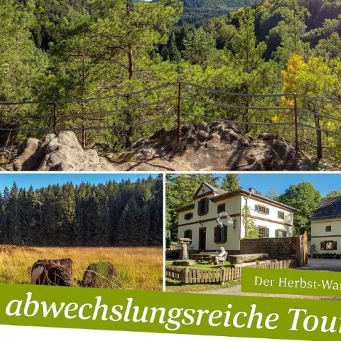 Pfälzerwald