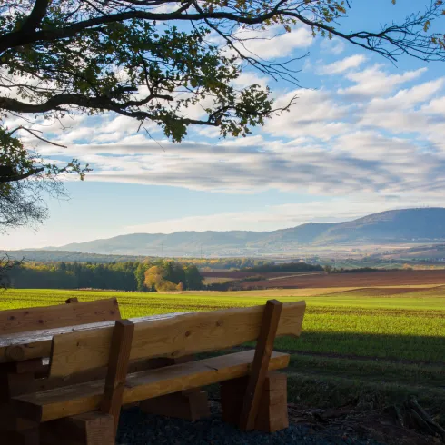 unter strahlend blauem Himmer erhebt sich im Hintergrund der Donnersberg, im Vordergrund lädt eine Picknickbank zur Rast auf der Adolf von Nassau Tour ein