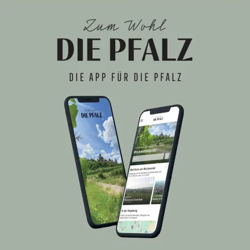 Zum Wohl die Pfalz - App