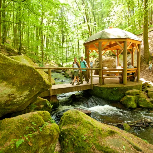 Karlstalschlucht bei Trippstadt