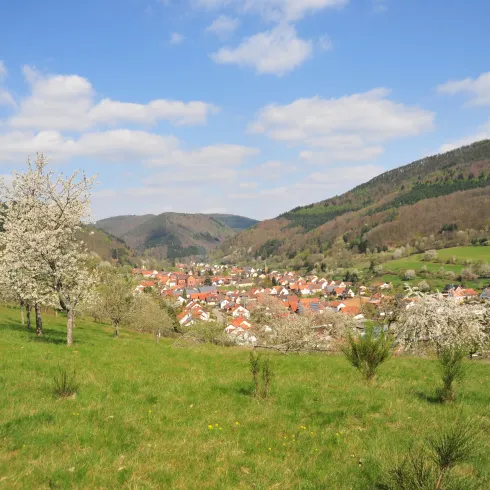 Blick aufs Eußerthal