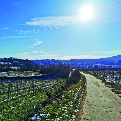 Weg oberhalb vom Berntal